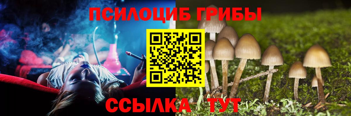 Псилоцибиновые грибы Cubensis Борисоглебск